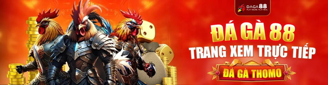 Đá Gà Trực Tuyến 79sun - Sân Chơi Đỉnh Cao